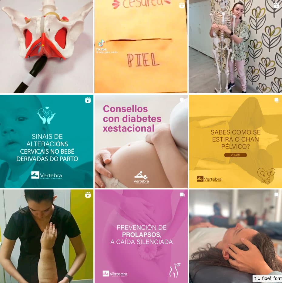 Publicaciones de Instagram de Vértebra Fisioterapia